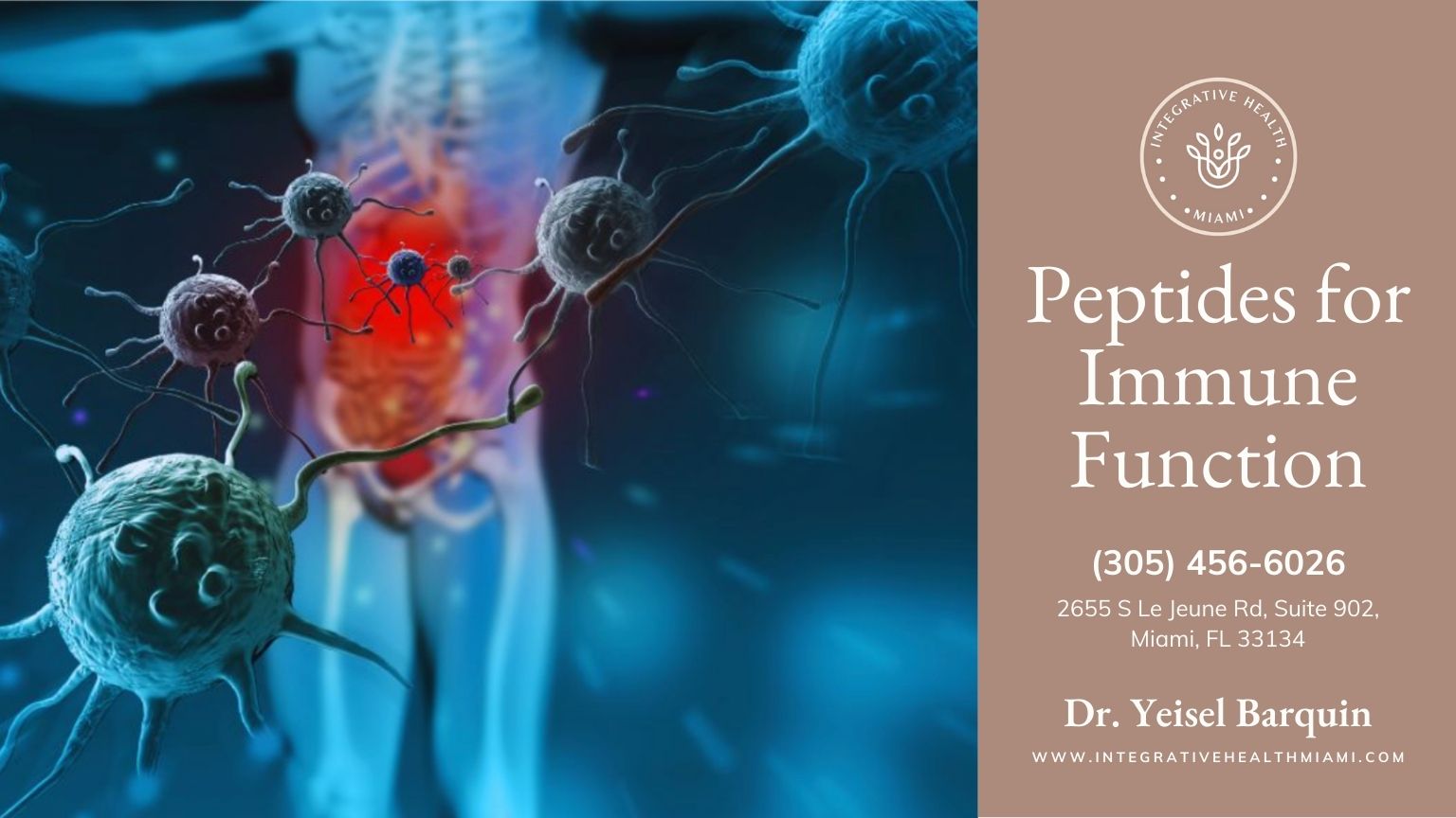 A 3D-rendered digital illustration depicts immune cells attacking a pathogen inside the human body. A translucent human figure with a highlighted digestive system is surrounded by glowing blue and red immune cells and bacteria, symbolizing immune function and response.